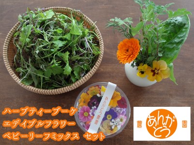 食用花 スペシャルセット ハーブティブーケ1束・エディブルフラワー 約30g・ベビーリーフミックス 約150g or ハーブミックス約150g [あんがとう農園 石川県 中能登町 27ai0001]