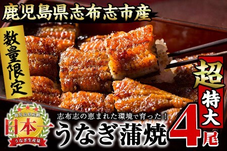 【数量限定】うなぎの大楠＜超特大＞4尾セット計760g以上(190g×4) うなぎ 鰻 ウナギ 4尾 国産 九州産 蒲焼き かばやき 冷凍 うな重 ひつまぶし タレ 山椒 真空パック ランキング 人気 c3-022