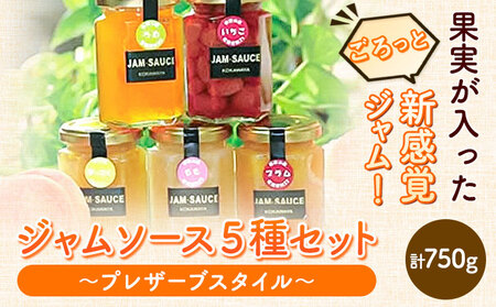 ジャムソース５種セット(プレザーブスタイル) JAわかやま 紀の里地域本部 《90日以内に出荷予定(土日祝除く)》 和歌山県 紀の川市