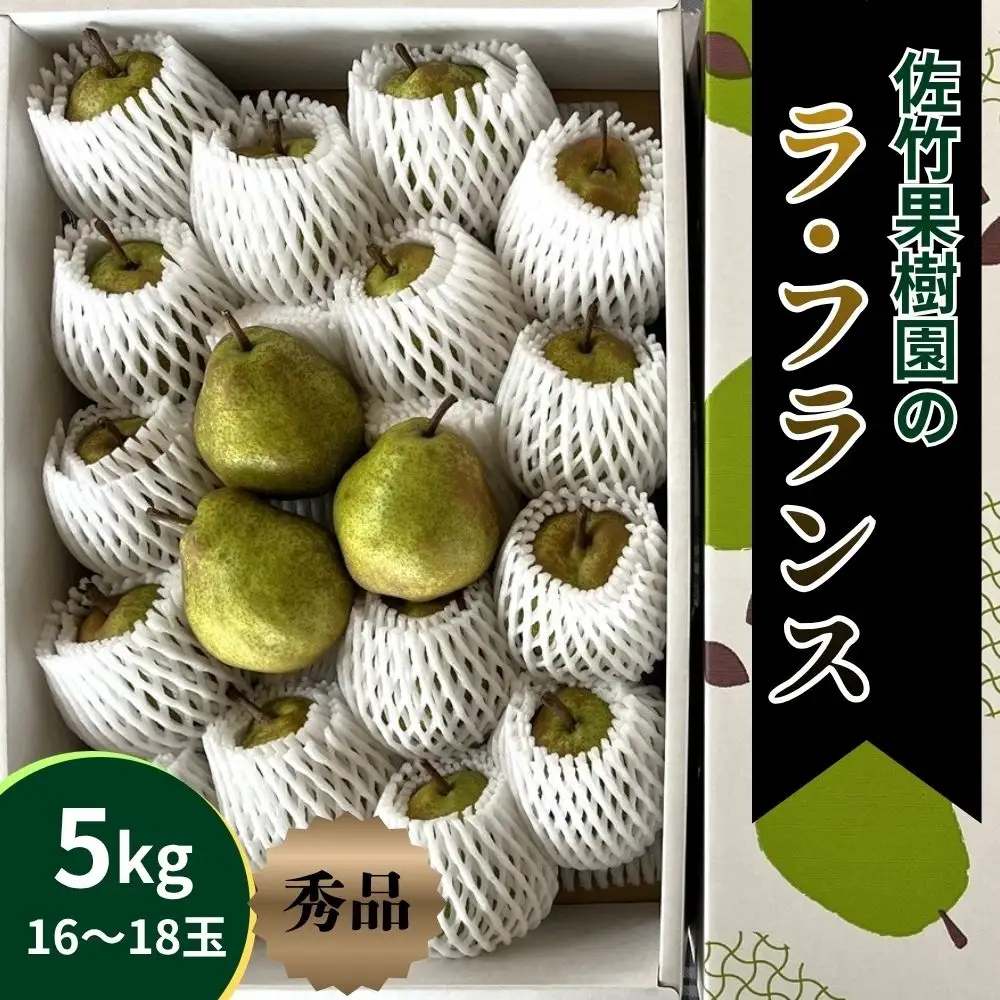 西洋梨（ラ・フランス）５ｋｇ　0041-2604