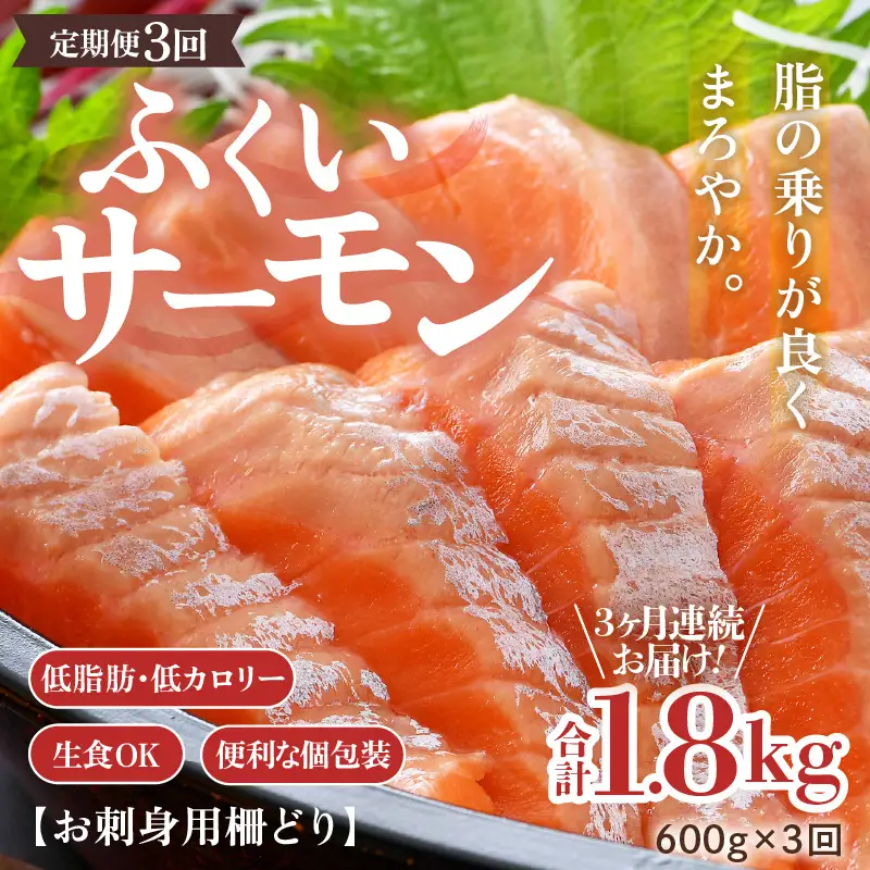 《定期便3回》ふくいサーモン 柵どり 150g×4パック 計600g ＜鮮度抜群！＞ ／サーモン 鮭 [aw002-f003]