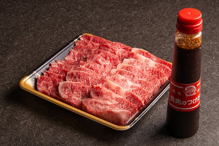 【数量限定】おおいた和牛カルビ焼き肉セット 500g 特製つけダレ付き | 豊後牛 和牛 牛 牛肉 お肉 肉 おにく にく カルビ 焼き肉 焼肉 大分県産 九州産 国産 中津市 冷凍 大分県 中津市