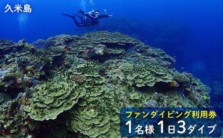 ダイビング 久米島ファンダイビング利用券1名様 1日3ダイブ マリン アクティビティ