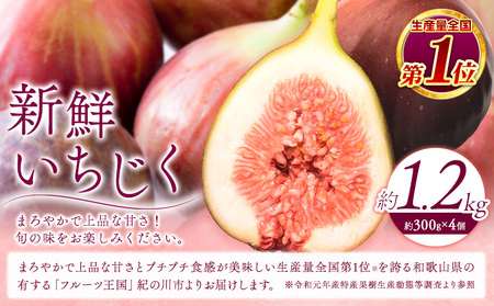 新鮮いちじく約300g×4パック入