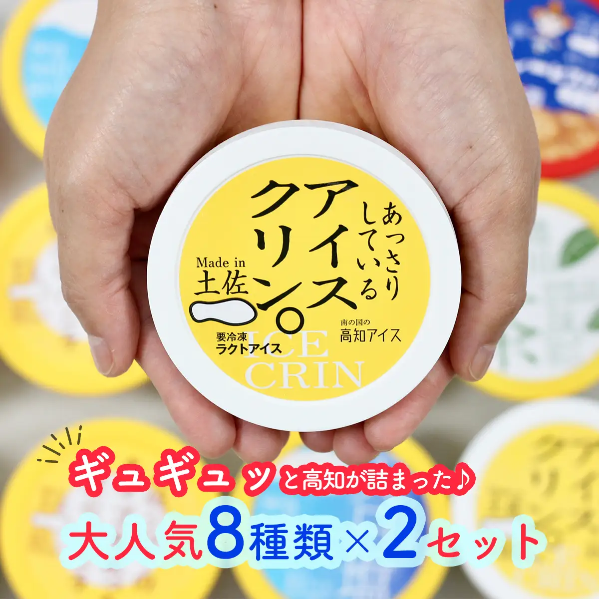 高知アイスのアイスクリーム　8種類×2 高知アイス 土佐 お取り寄せ おすすめ 美味しい 素材 こだわり ギフト 特産品 産地直送 送料無料