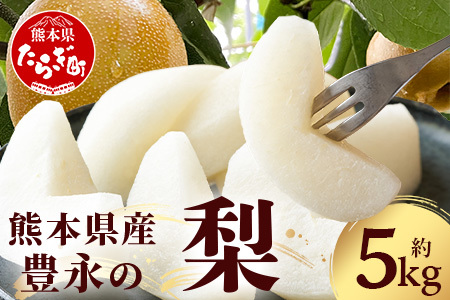 【2026年8月中旬～発送】豊永の 梨 約5kg 熊本 070-0592