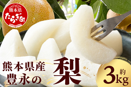 【2026年8月中旬～発送】豊永の 梨 約3kg 熊本県 070-0593
