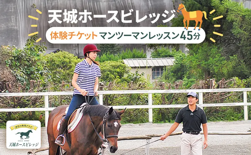 天城ホースビレッジ施設利用券 マンツーマンレッスン45分