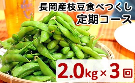 75E-TA新潟県長岡産枝豆【2.0kg×3回お届け】食べつくし定期コース