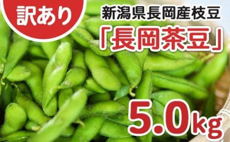 75E-B5A【訳あり】新潟長岡産枝豆長岡茶豆5.0kg【B品】