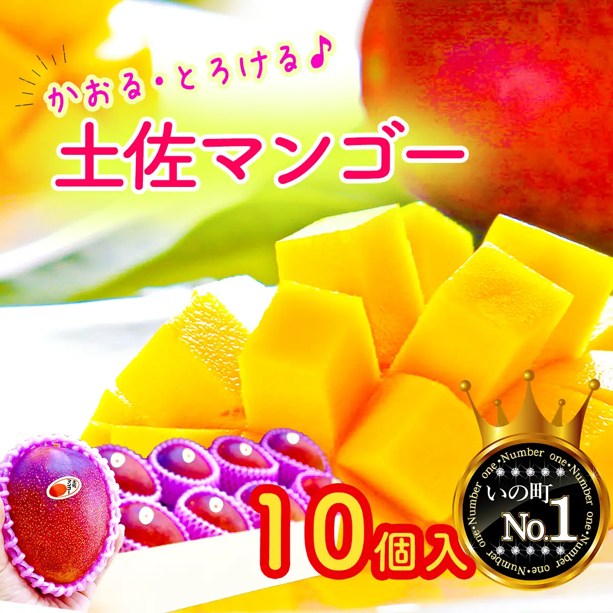 かおる・とろける！土佐マンゴー10個 