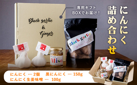 にんにく製品詰め合わせセット ロイヤルリノベーション株式会社 《90日以内に出荷予定(土日祝除く)》 和歌山県 紀の川市
