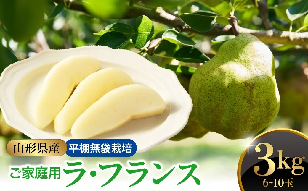西洋梨（ラ・フランス）３ｋｇ　ご家庭用　0052-2605