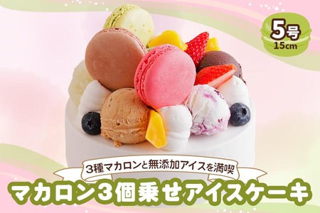 アイスクリームケーキ マカロン3個乗せ (苺、ピスタチオ、ショコラ)｜3種のマカロンが乗った贅沢 ロワゼット デザート アイス ケーキ 乳化剤 安定剤 保存料 人工甘味料 などが不使用 無添加 デザート おやつ プレゼント 誕生日 祝い [0427] 
