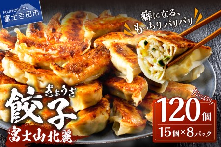 富士山北麓 餃子 120個 ぎょうざ 冷凍 餃子 ギョーザ