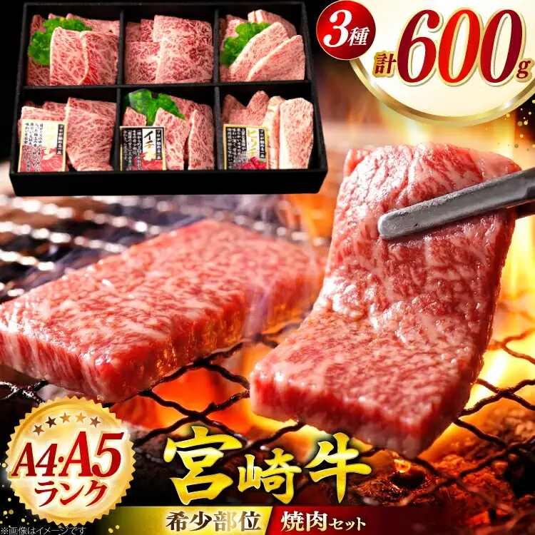 宮崎牛 希少部位 3種 焼肉 セット 合計600g [ハツトリー 宮崎県 美郷町 31aw0006]