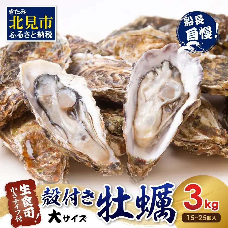 【予約：2026年10月中旬から順次発送】サロマ湖自慢の殻付きカキ貝 大 3kg詰め ( 牡蠣 かき 濃厚 大きい 魚介類 貝類 殻付 殻付き牡蠣 BBQ バーベキュー )【114-0072-2026】