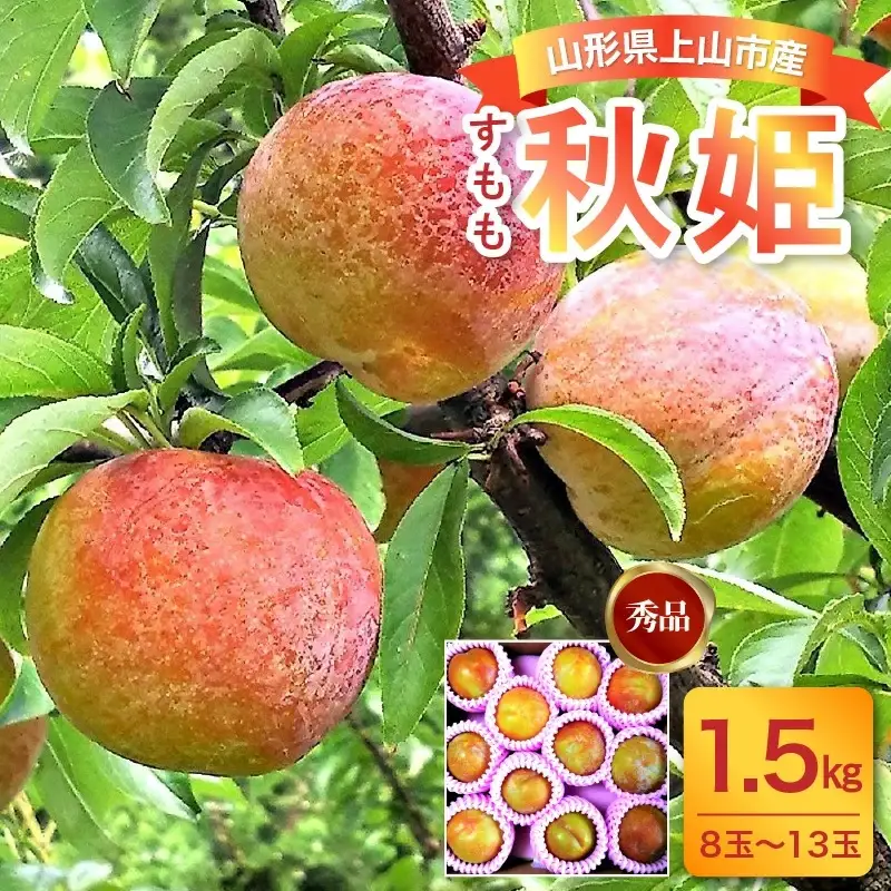 すもも（秋姫）１.５ｋｇ　0017-2606