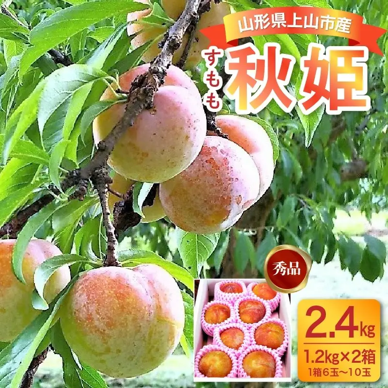 すもも（秋姫）２.４ｋｇ　0017-2607