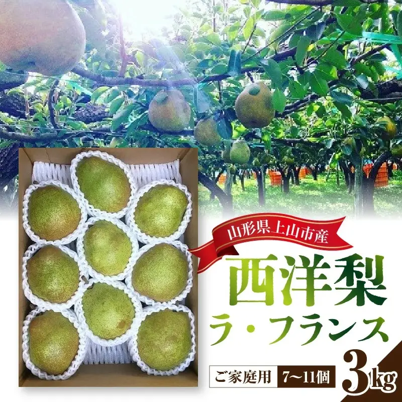 西洋梨（ラ・フランス）3kg ご家庭用 0134-2601 | 山形県上山市