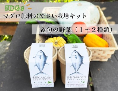 食彩GARDEN三浦やさい栽培キット＆旬野菜 M043-001 野菜 三浦野菜