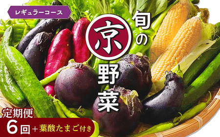 【6回定期便】旬の京野菜セット 野菜