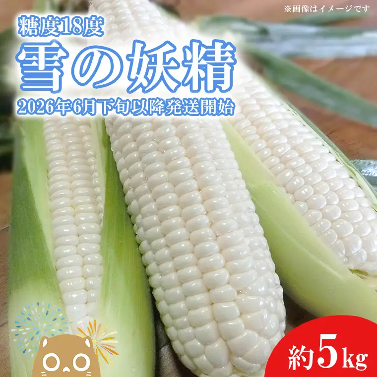 白いとうもろこし 雪の妖精 約5kg入り 先行予約 K1966