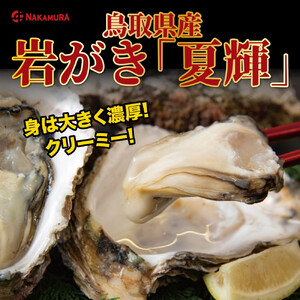 鳥取県産 岩がき「夏輝」【中村商店】