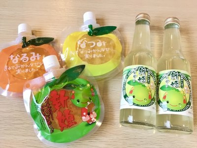 人気商品のセット！リクエストにお応えしました。果肉入り贅沢みかんゼリー3種と新姫サイダー2本【kmkn0208】