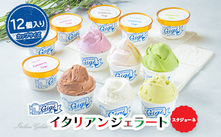 ジェラテリアGigiイタリアンジェラート６種【カップサイズ12個】【43001601】