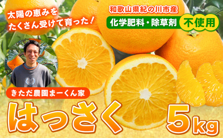 紀の川市はっさく まーくん家の八朔 約5kg きただ農園まーくん家《2027年2月上旬-3月末頃出荷》和歌山県 紀の川市 柑橘 はっさく 化学肥料・除草剤不使用