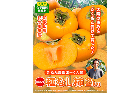 【訳あり】まーくん家のたねなし柿 約2kg かき 種なし きただ農園まーくん家 《2027年9月下旬-10月末頃出荷》 和歌山県 紀の川市