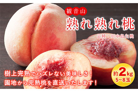 桃 もも 観音山熟れ熟れ桃 川中島白桃 kg