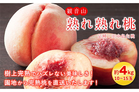 観音山熟れ熟れ桃（川中島白桃）4kg