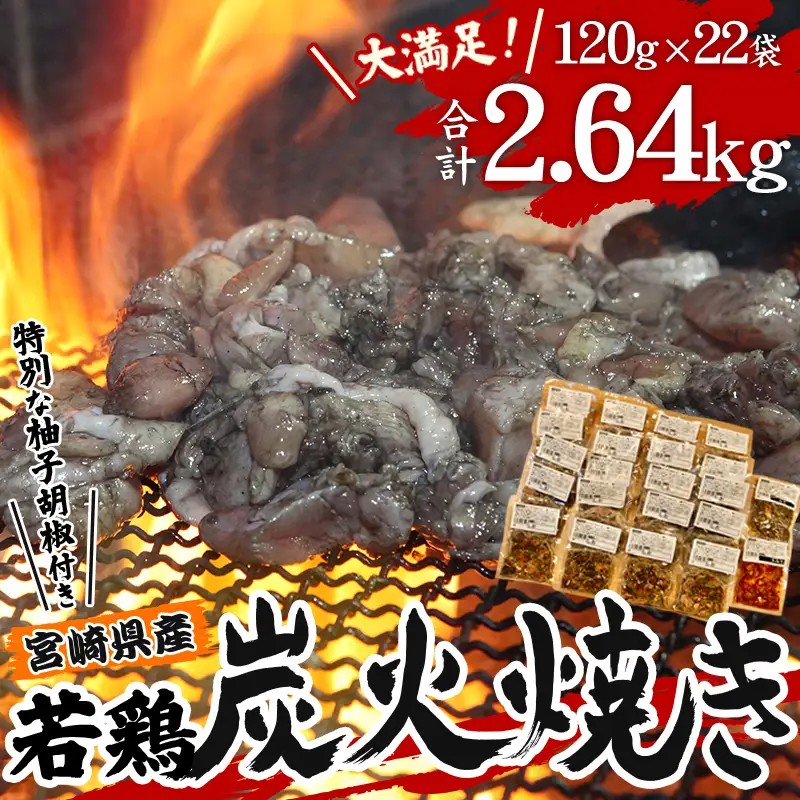 宮崎県産 若鶏 炭火焼 計2.64kg 大満足22パック 宮崎の名店「小料理ひゅう」 国産 若どり 炭火焼き 炭火焼鳥 炭火焼き鳥 120g 22袋 辛みそ 辛味噌 みそ 味噌 鶏肉 肉 お肉 パック 小分け 冷凍 レンジ 電子レンジ 湯煎 おつまみ つまみ グルメ 特産品