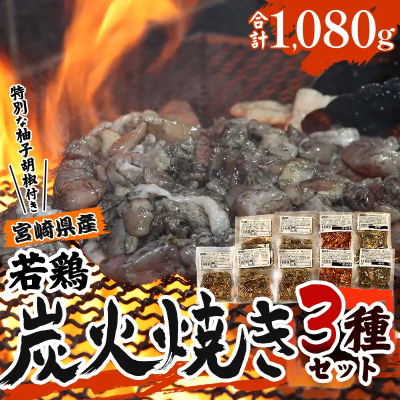 宮崎「小料理ひゅう」県産若鶏炭火焼き3種 計1.08kg 国産 若鶏 若どり 炭火焼 炭火焼き 炭火焼鳥 炭火焼き鳥 120g 9袋 辛みそ 辛味噌 みそ 味噌 詰め合わせ 鶏肉 肉 お肉 パック 小分け 冷凍 レンジ 電子レンジ 湯煎 おつまみ つまみ グルメ 特産品