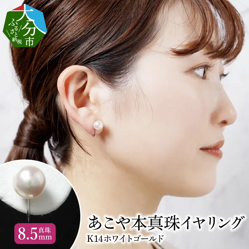 あこや本真珠イヤリング 真珠8.5mm 14Kホワイトゴールド R14113
