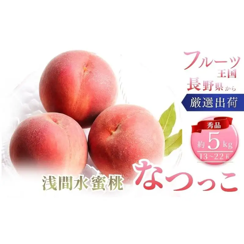 桃 先行予約 浅間水蜜桃 なつっこ 約5kg 秀品 13～22玉 フルーツ 果物 白桃 甘い 冷蔵