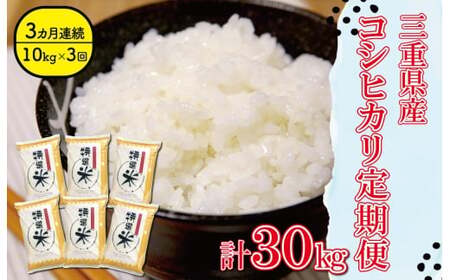 コシヒカリ 10kg×３回 【定期便全3回】 特選米コシヒカリ MK18
