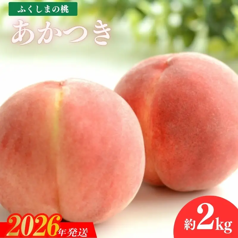 No.1974 もも「あかつき」約2kg【2026年発送】
