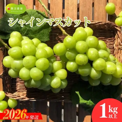 No.1980ぶどう　「シャインマスカット」約1kg【2026年発送 先行予約】