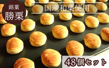 和菓子 京都の縁起菓子 勝栗 48個セット 和菓子