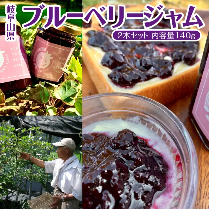 岐阜山県ブルーベリージャム2本セット　内容量140g [No.386]