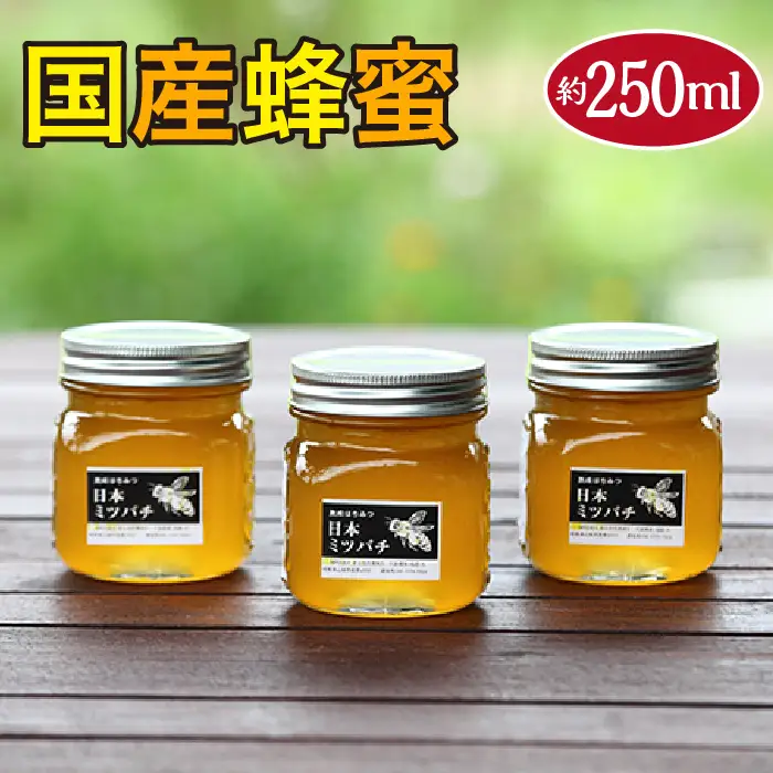 国産蜂蜜　約250ml [No.351]