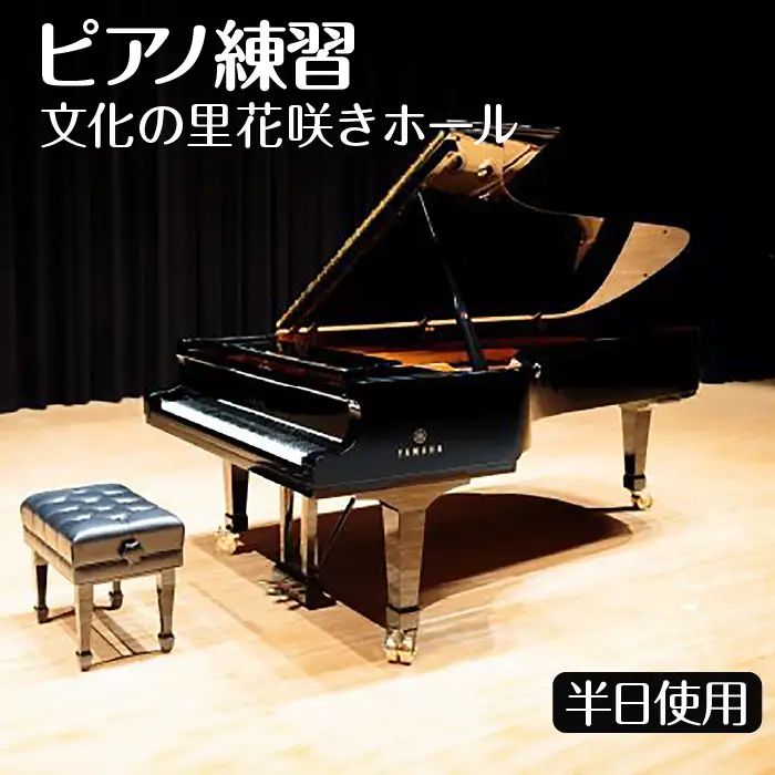 ピアノ練習  文化の里花咲きホール半日使用 [No.394]