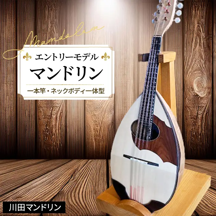 【エントリーモデル】マンドリン [No.288]