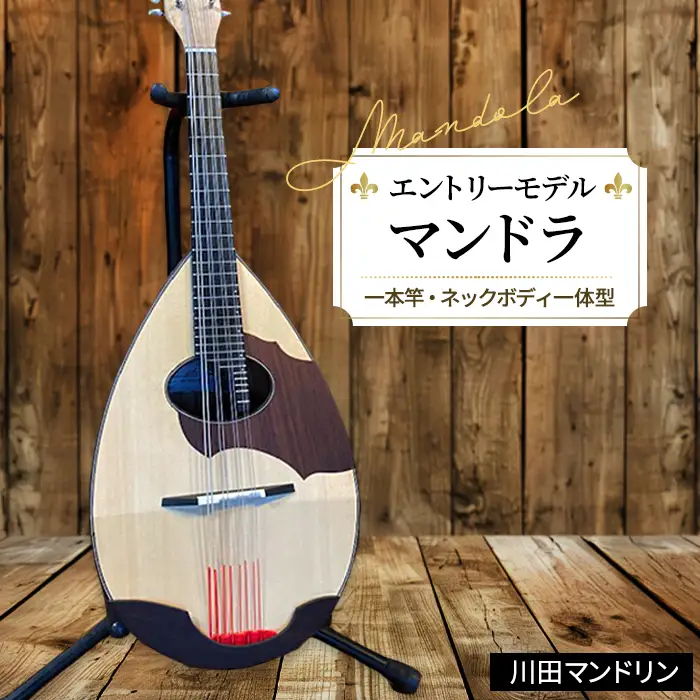 【エントリ―モデル】マンドラ [No.289]
