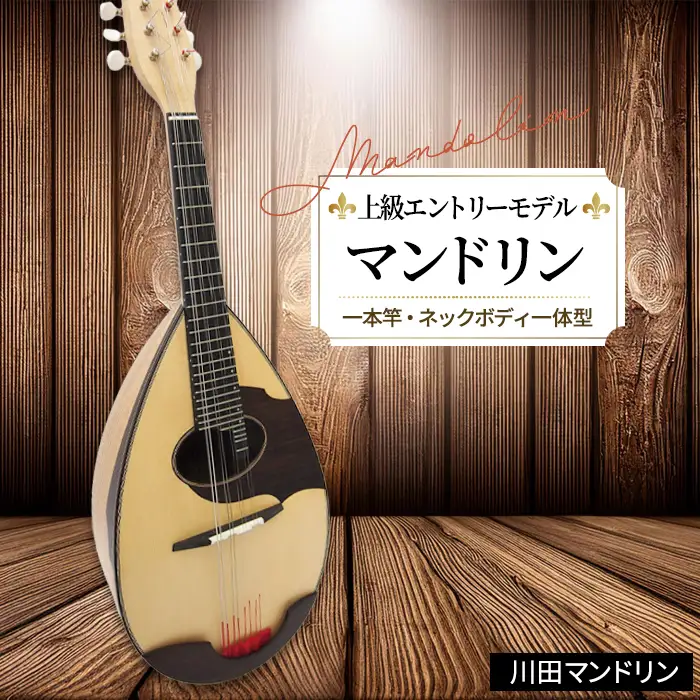 【上級エントリーモデル】マンドリン [No.290]