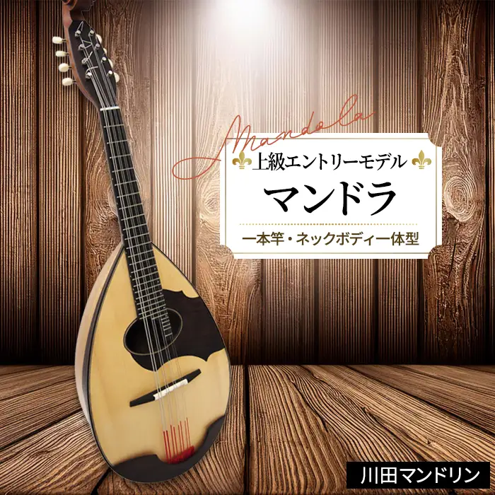  【上級エントリーモデル】マンドラ [No.291]
