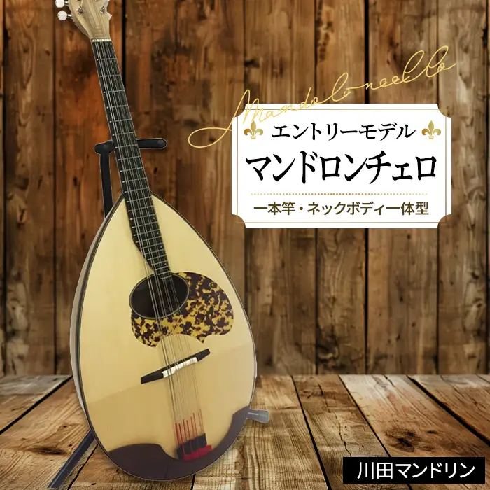 【エントリーモデル】マンドロンチェロ [No.292]